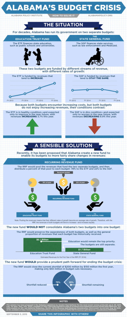 API budget infographic