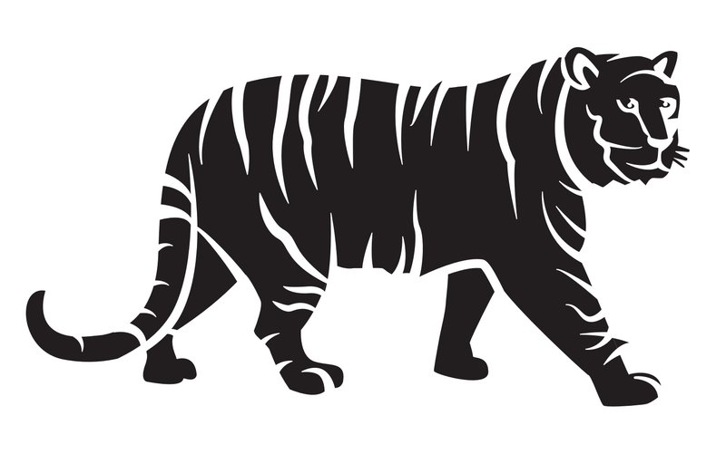 Tiger pumpkin carving template