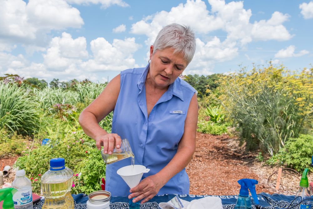 Using the right ingredients -- natural, skin-loving oils that repel biting mosquitoes -- with soybean oil as a base, everyone can make their own safe, "happy smelling" mosquito repellant, said Auburn University Horticulturist Tia Gonzales, shown at the university's Medicinal Plant Garden. (Photo by Nik Layman - Alabama NewsCenter)