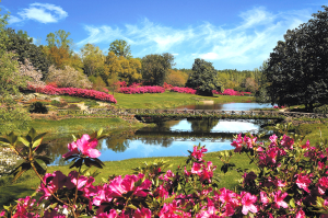  Can the home of the beautiful and serene Bellingrath Gardens really be the second most stressed city in the nation? (Visit Mobile)