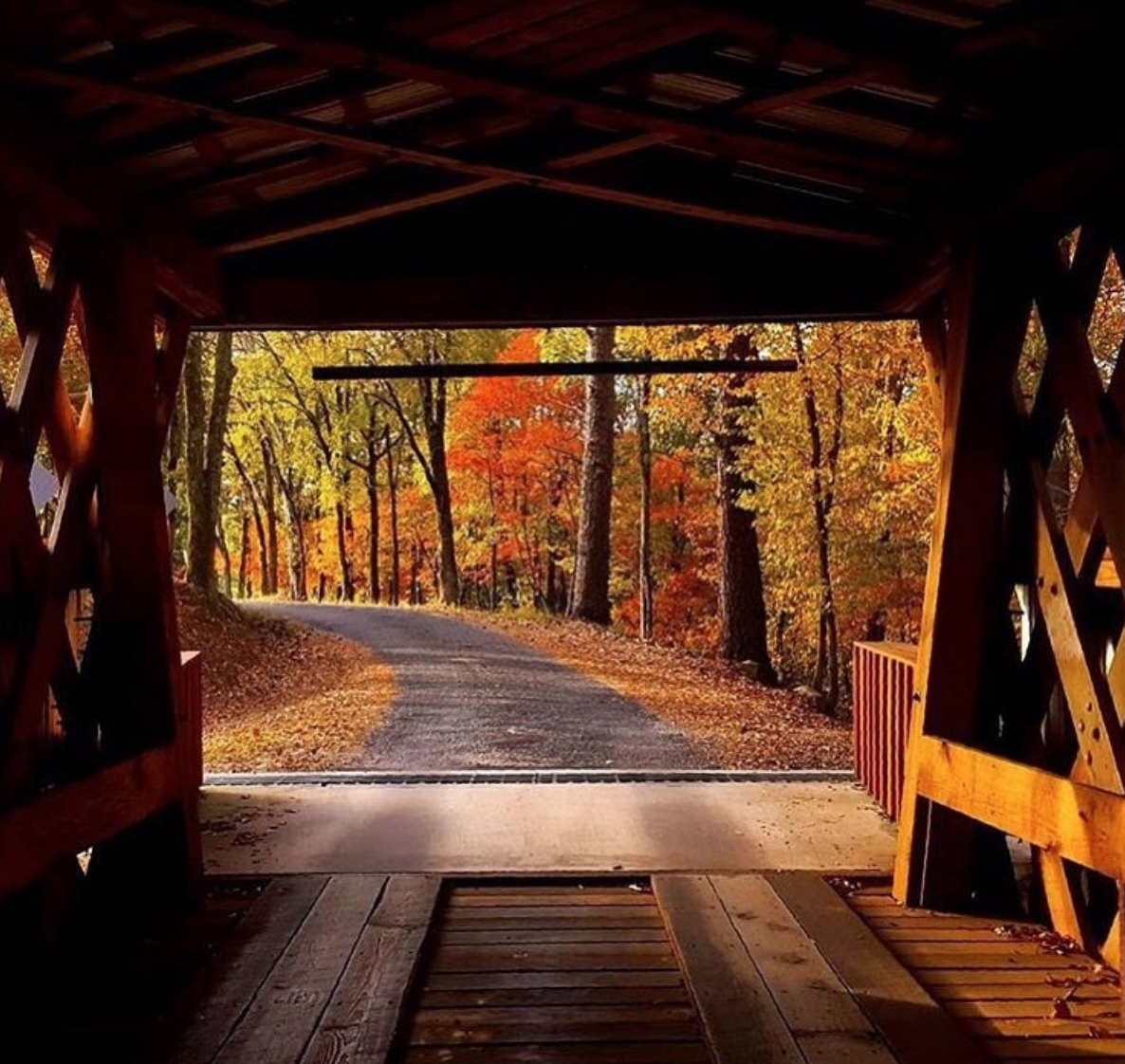 covered bridge with alabama fall foliage